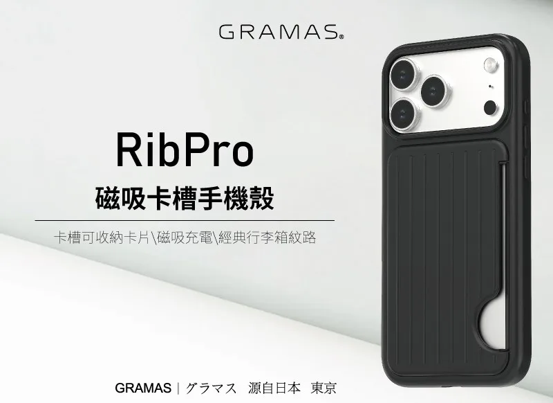 RibPro 說明圖 1
