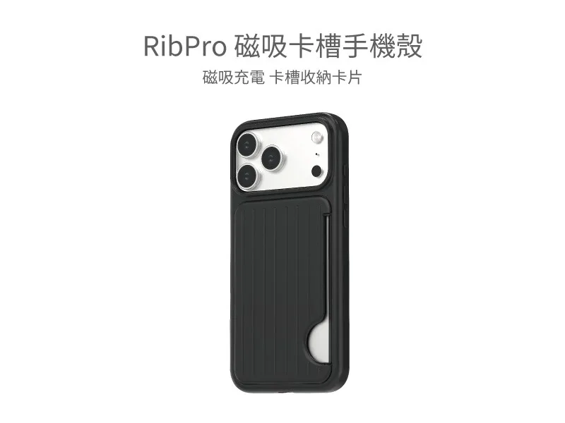 RibPro 說明圖 2