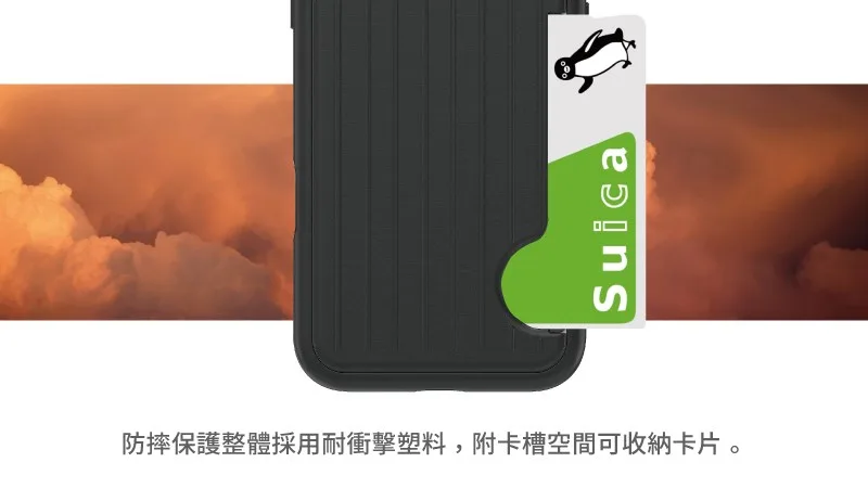 RibPro 說明圖 3