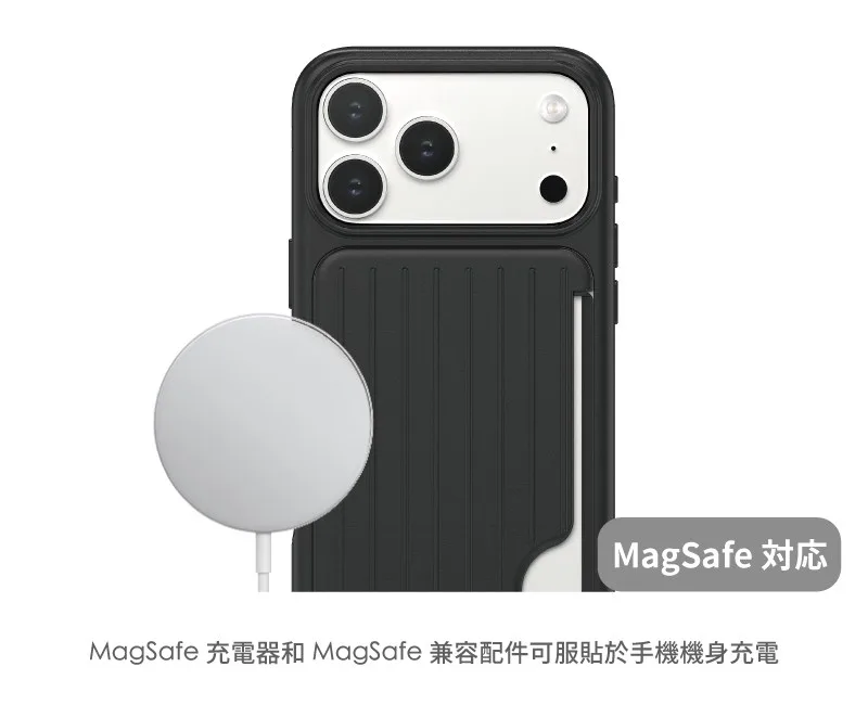 RibPro 說明圖 4