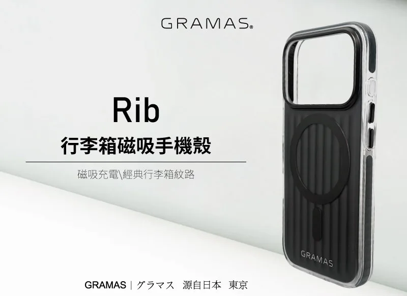Rib 說明圖 1